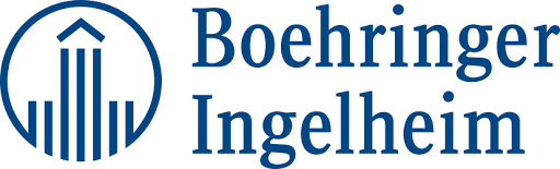 BI Logo blue.jpg