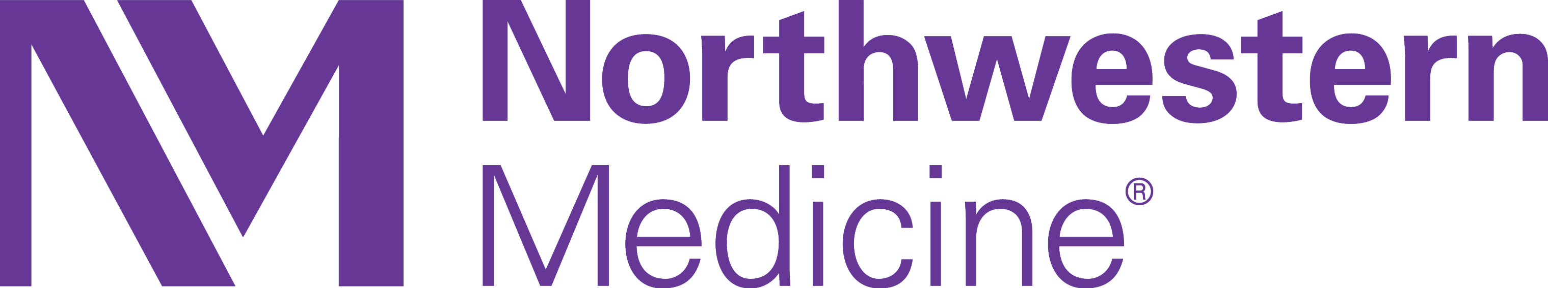 Northwestern Logo.png